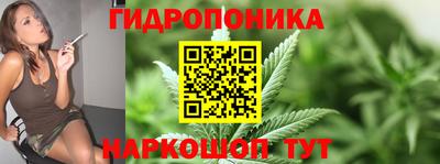 индика Кунгур