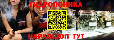 индика Кунгур